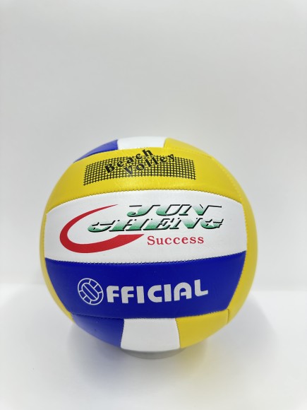 Мяч волейбол (100)