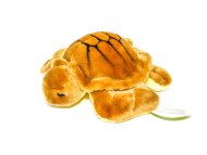 мягкая игрушка черепаха муз ( 270) мягкая игрушка черепаха муз ( 270)